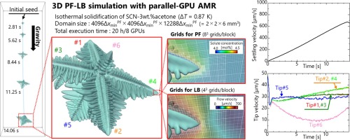 parallel GPU AMR columnar dendirte